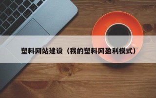 拉萨塑料网站建设（我的塑料网盈利模式）