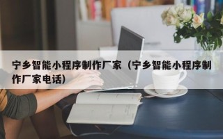拉萨宁乡智能小程序制作厂家（宁乡智能小程序制作厂家电话）