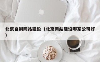 拉萨北京自制网站建设（北京网站建设哪家公司好）