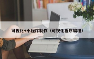 拉萨可视化+小程序制作（可视化程序编程）